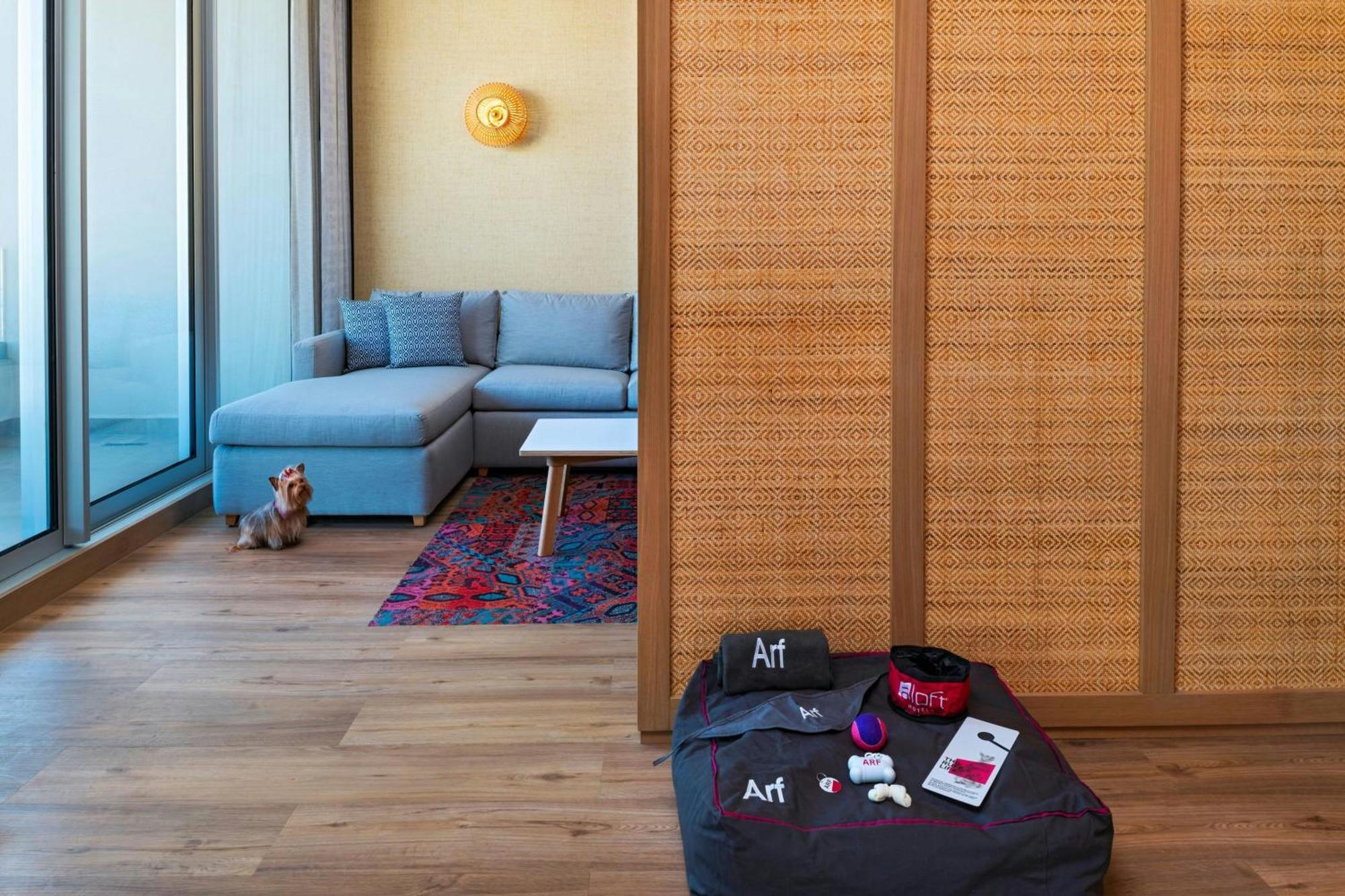 Aloft Playa Del Carmen Hotel Exterior photo A room divider